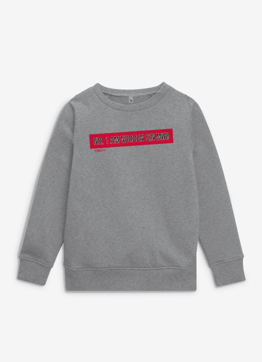 Junior Sweatshirt Grey Marle
