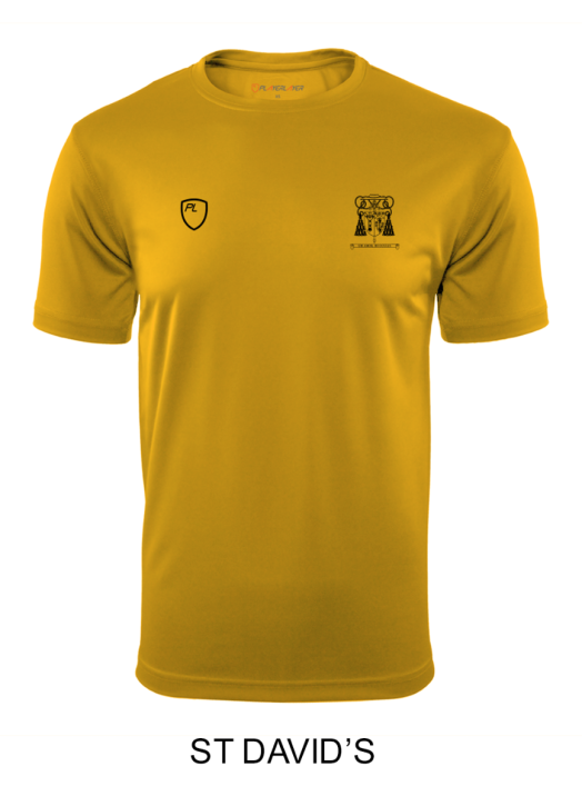 Junior VictoryLayer Tee Gold