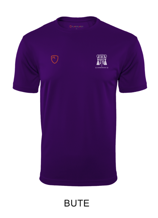 Men's VictoryLayer Tee Purple
