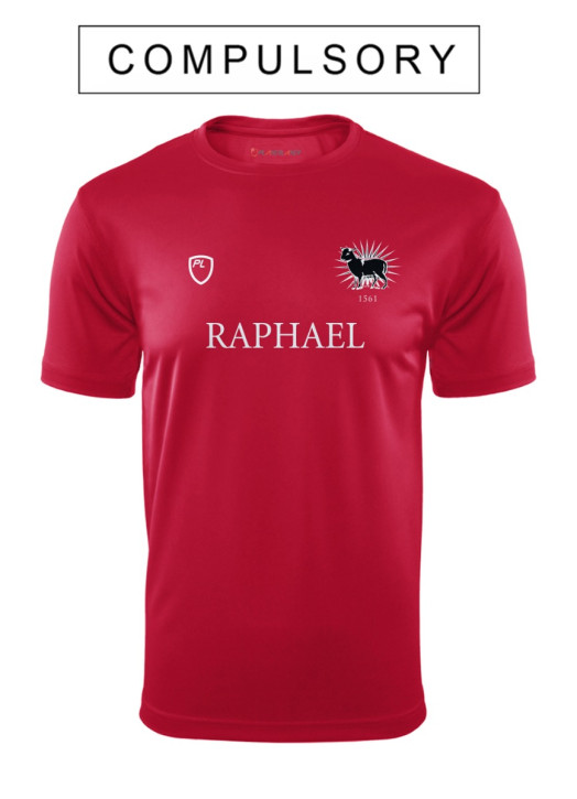 Men's VictoryLayer Raphael House Tee