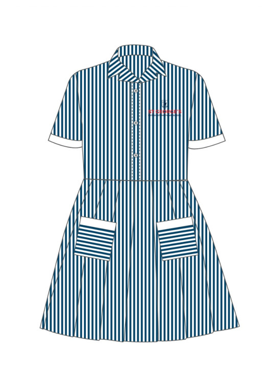 Junior Girls Pinstriped Summer Dress