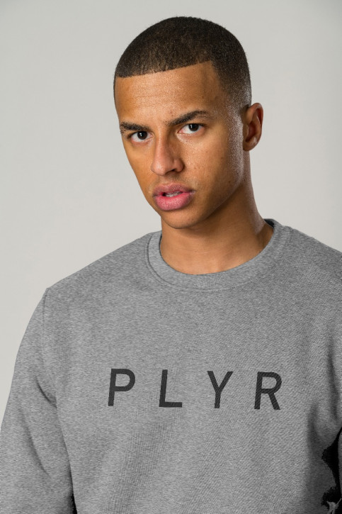 EcoLayer Sweatshirt Grey Marle